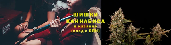 2c-b Дмитриев
