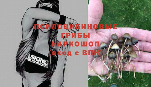 mdpv Дмитров