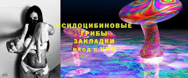 2c-b Дмитриев