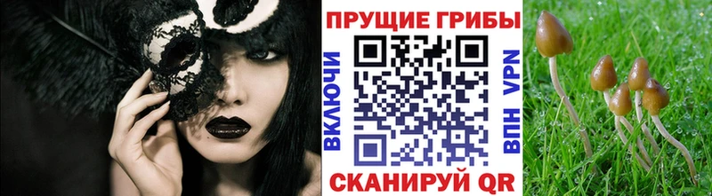 Галлюциногенные грибы ЛСД  Купить где  Киренск 